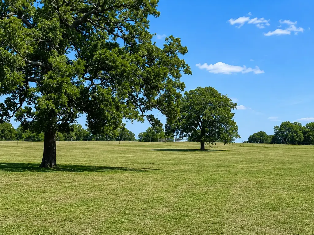 1583 S Us Highway 77 Highway, Giddings