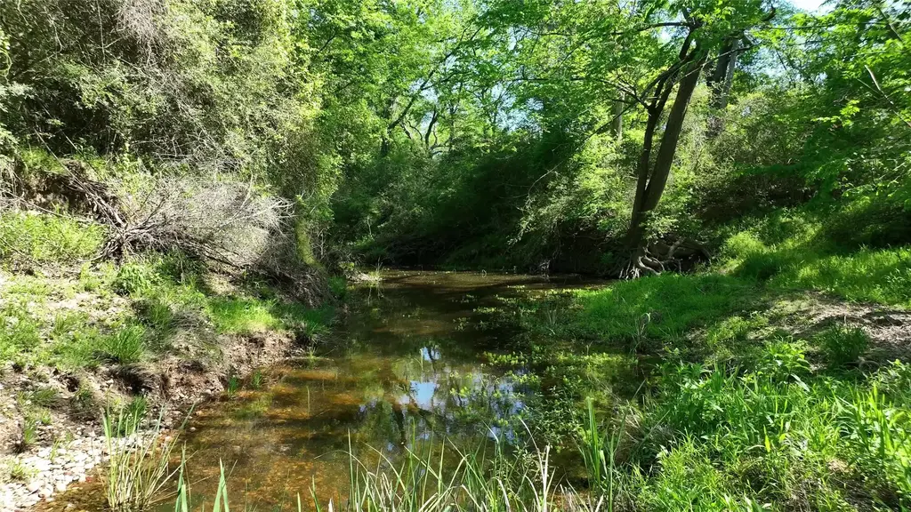 County Road 119, Ledbetter