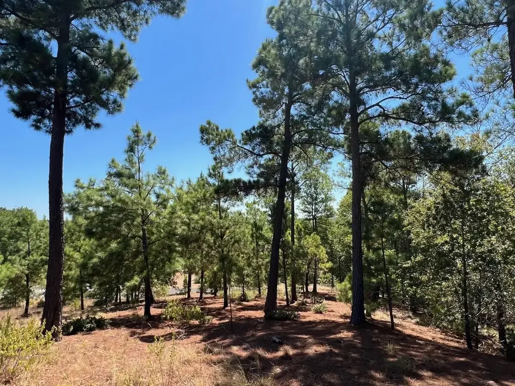 Lot 666 Honopupu Drive, Bastrop
