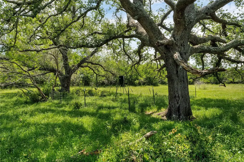 4207 County Road 444, Waelder