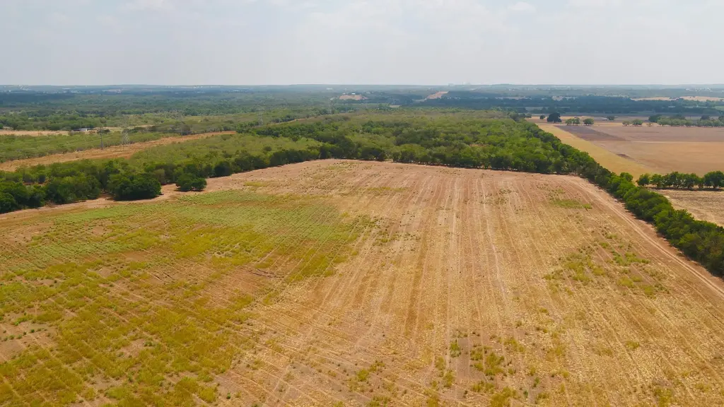 5647 Cr 429, Thorndale