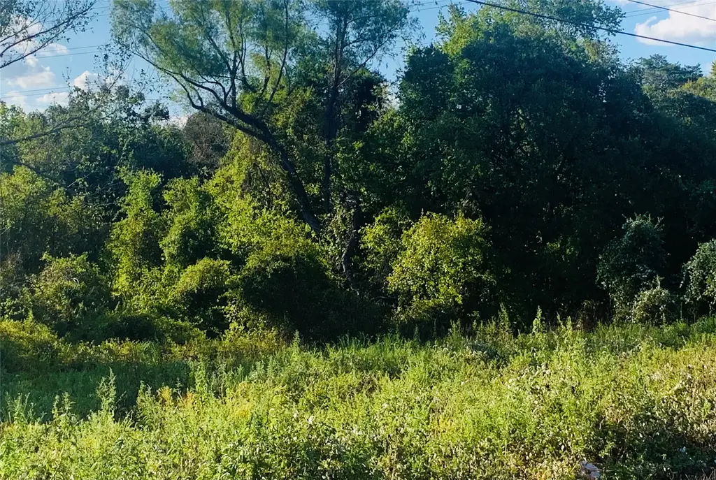 Tbd A11 Bastrop Town Tract, Acres 2.010 Bastrop Property Id 46383, Bastrop