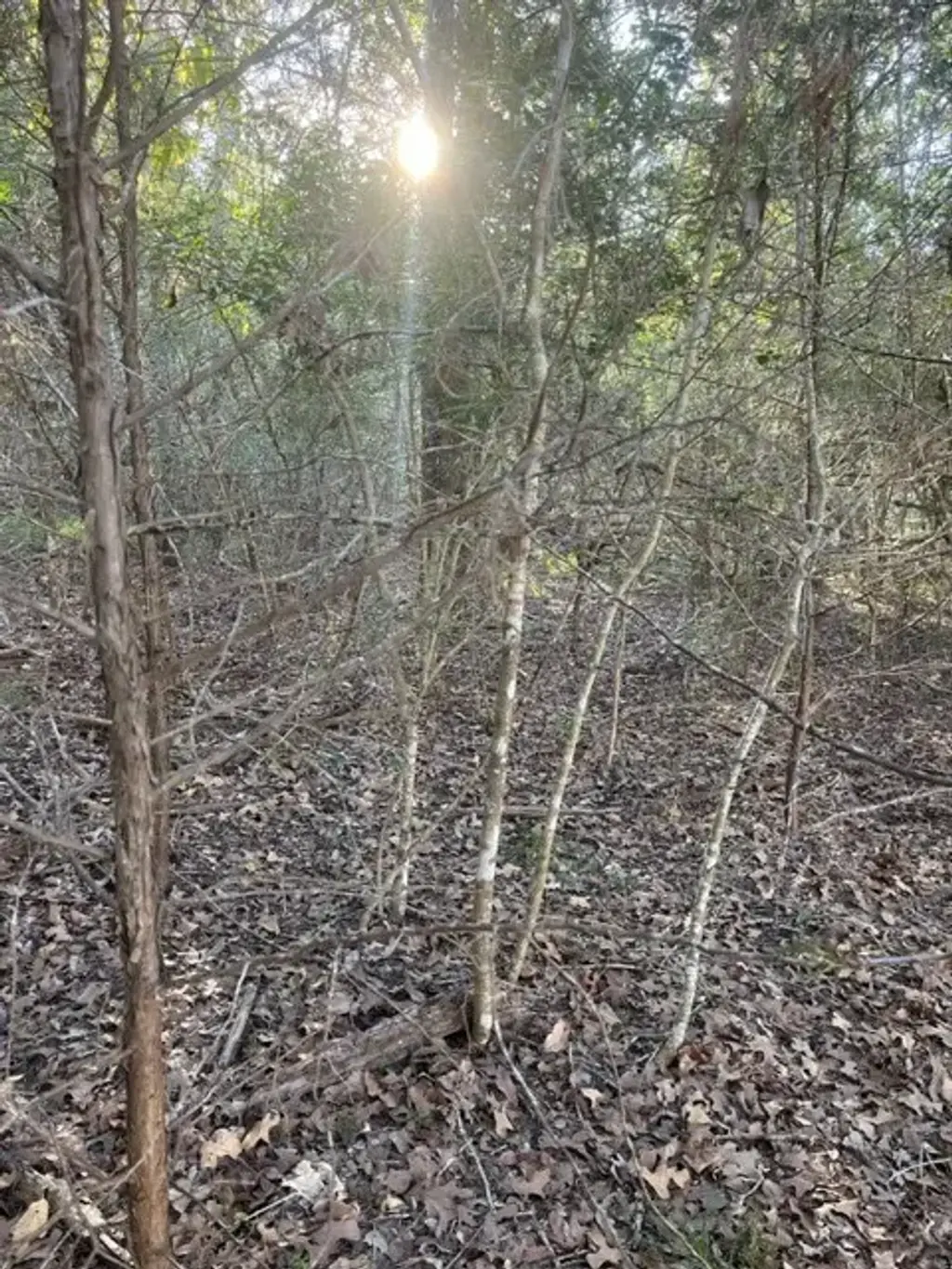 Lot 632 Hilea Court, Bastrop