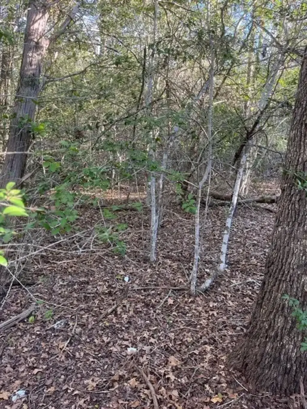 Lot 631 Hilea Court, Bastrop