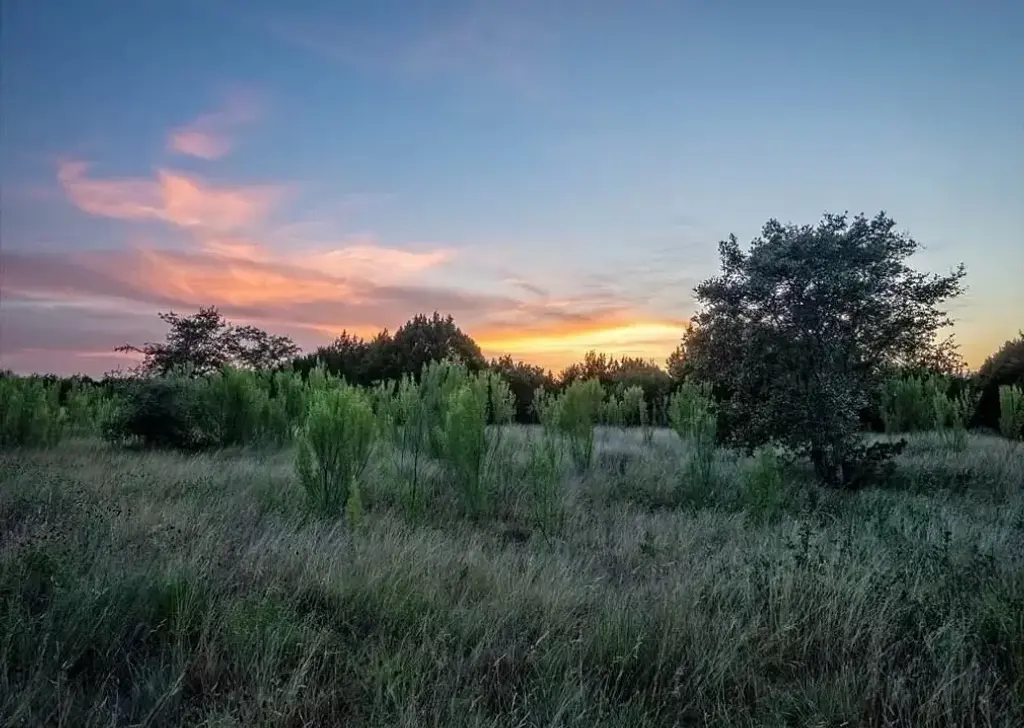 Lot 185 Three Creeks Drive, Bertram