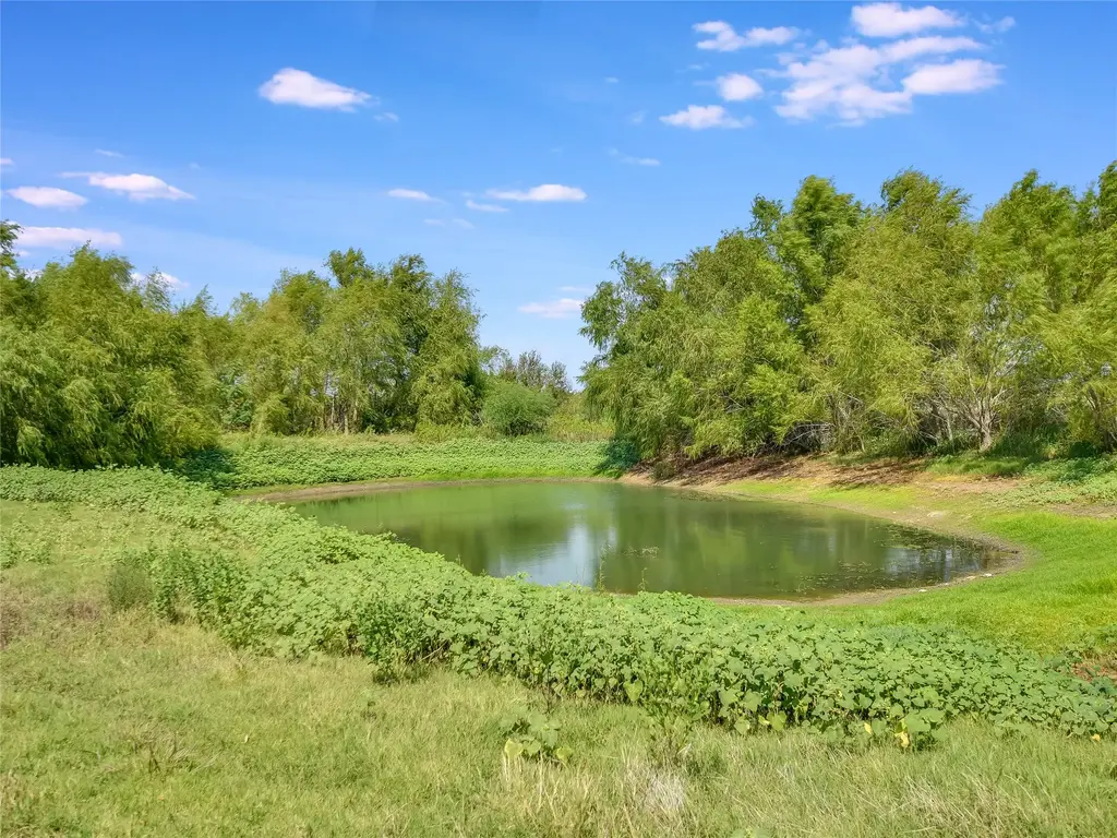 1000 County Rd 484, Elgin