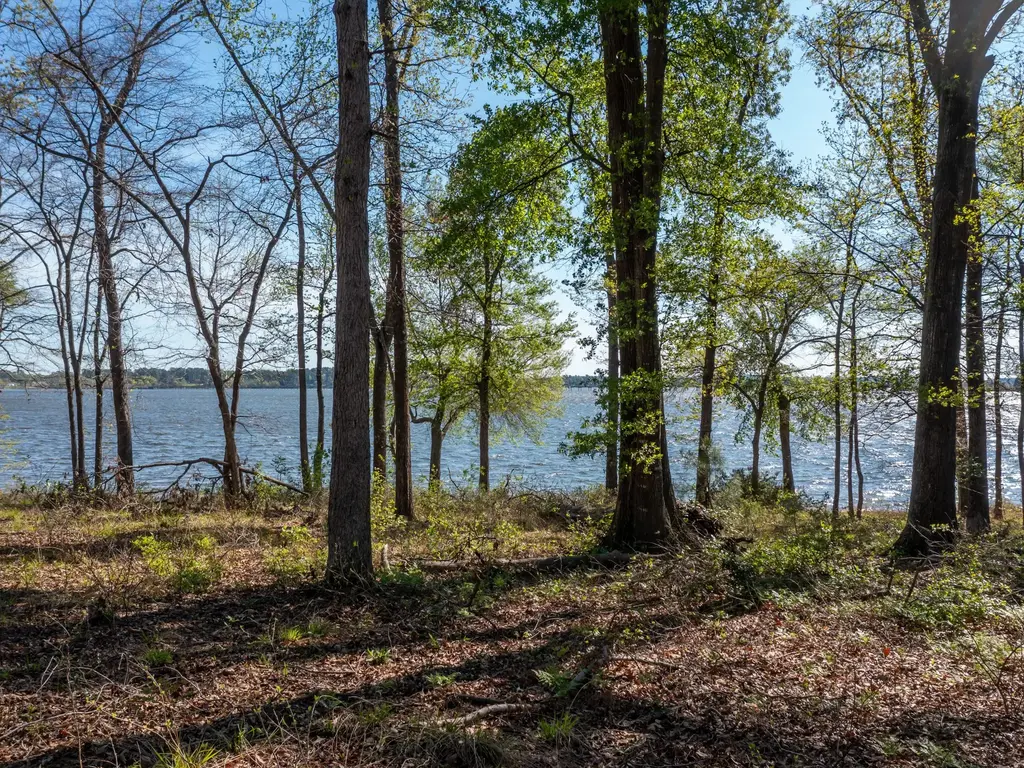 3108 Shadow Pine Drive, Larue