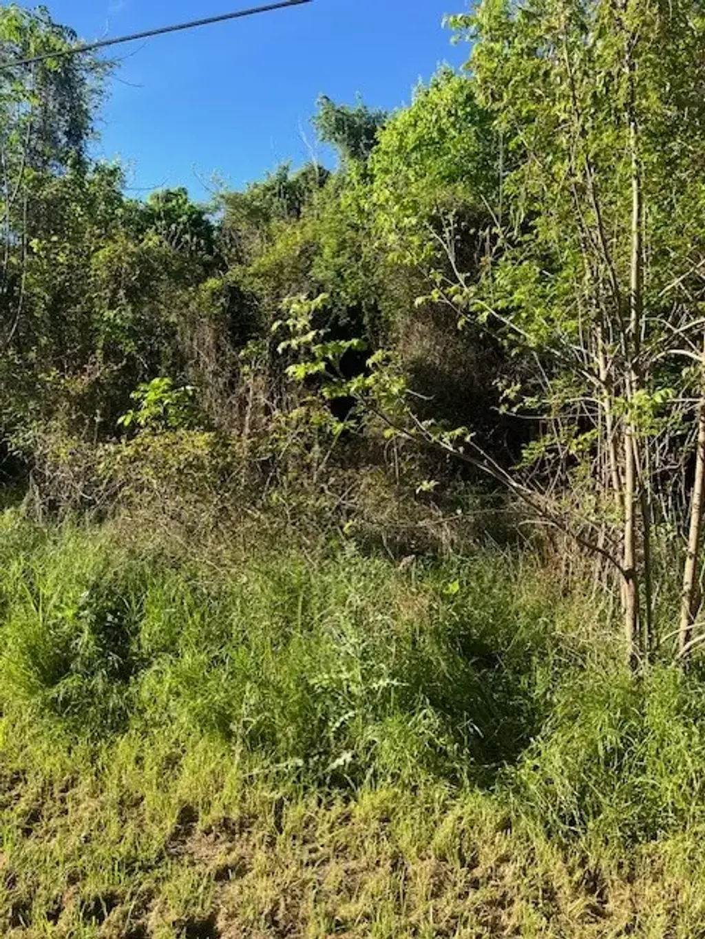 171 Kahana Lane, Bastrop
