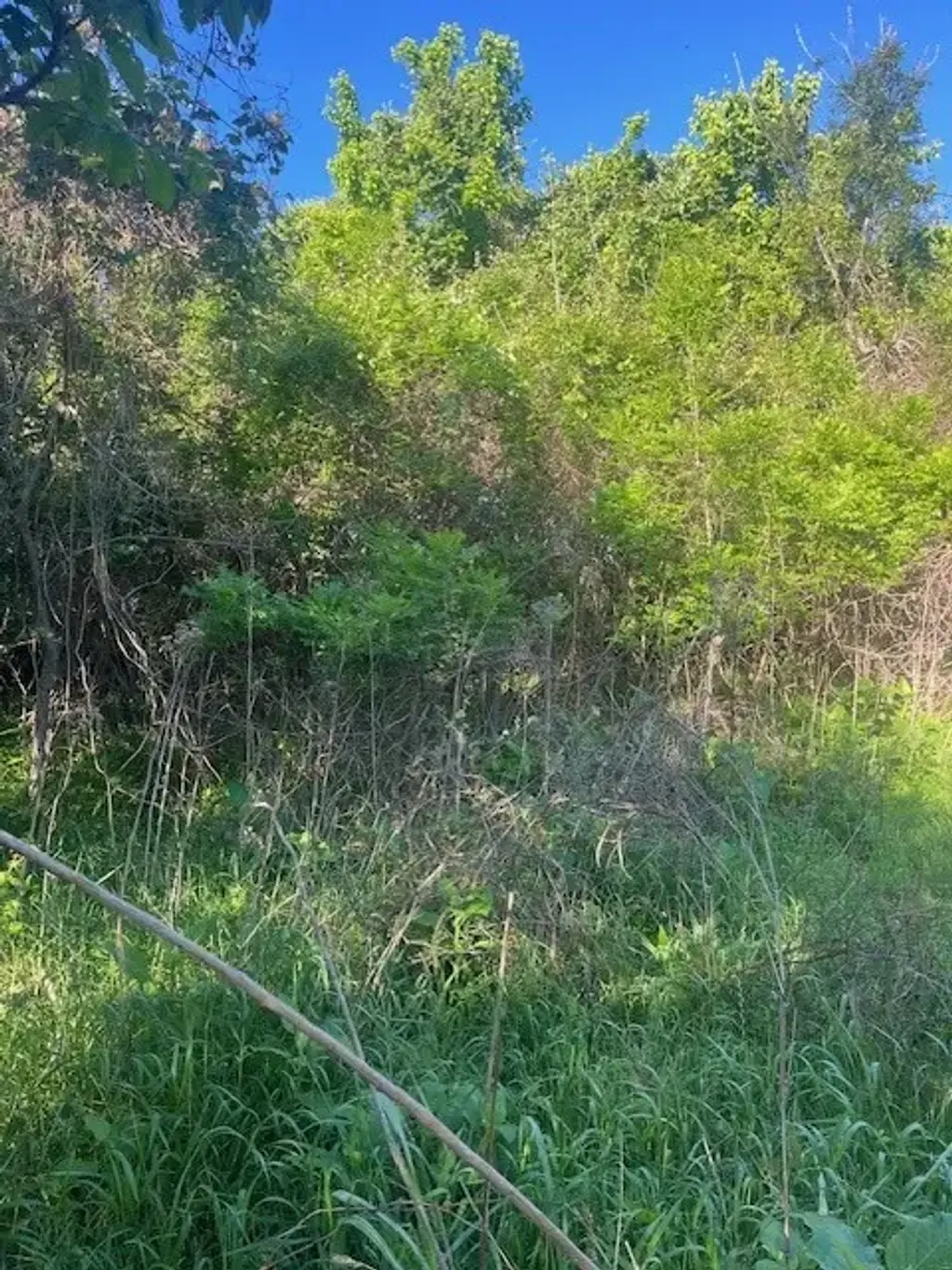 167 Kahana Lane, Bastrop