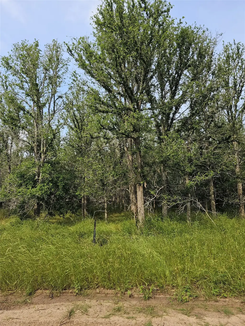 288 Kahana Lane, Bastrop