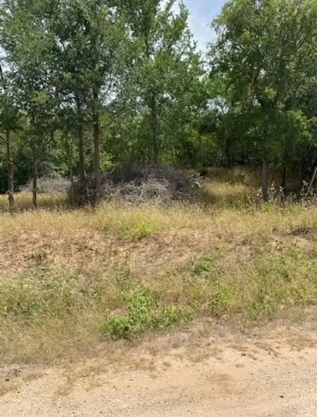 108 W Kikipua Lane, Bastrop