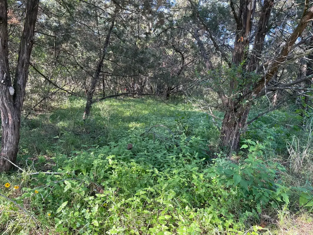 Lot 423 Indian Summer, Spicewood