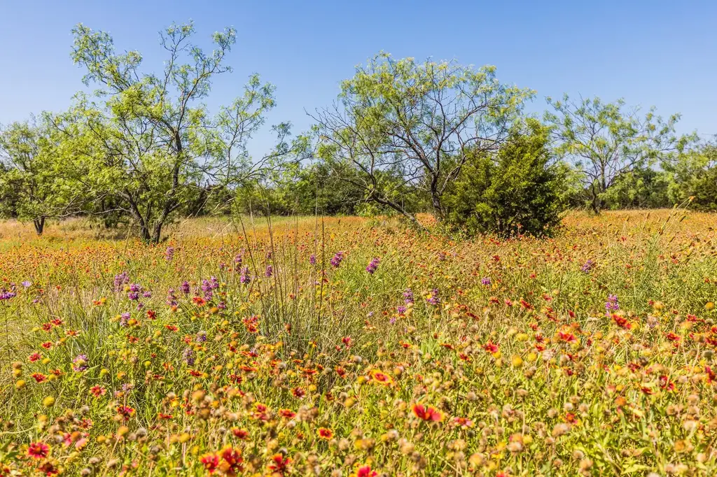 Tbd County Road 3300, Kempner