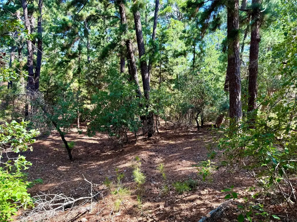 112, 114, 118 Kaimuki Court, Bastrop