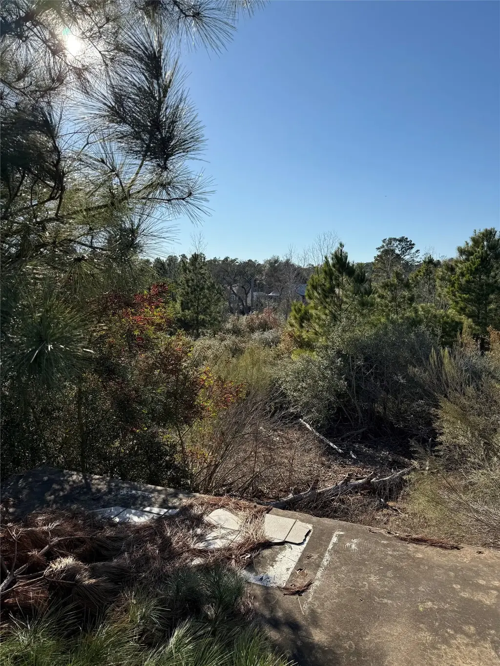 164 Manawianui Drive, Bastrop
