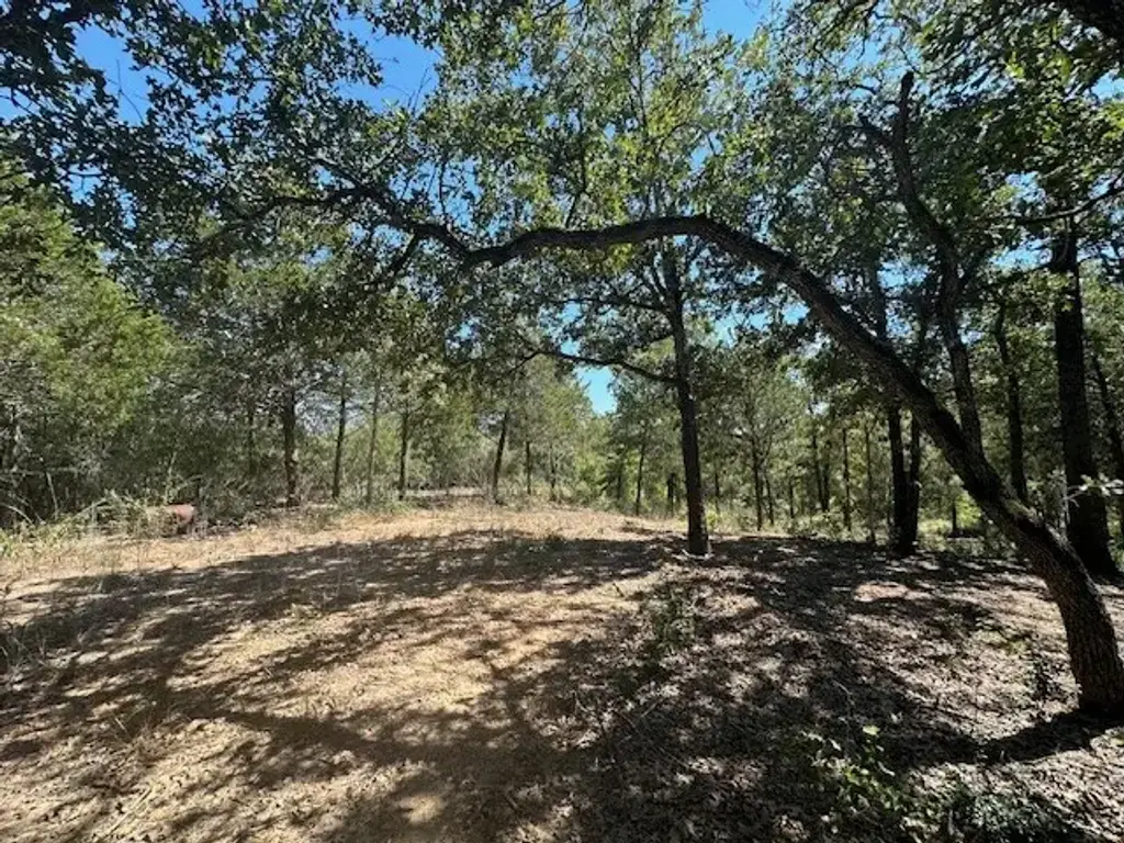 0 Tbd Lot 103 Ripple Brook Drive, Bastrop
