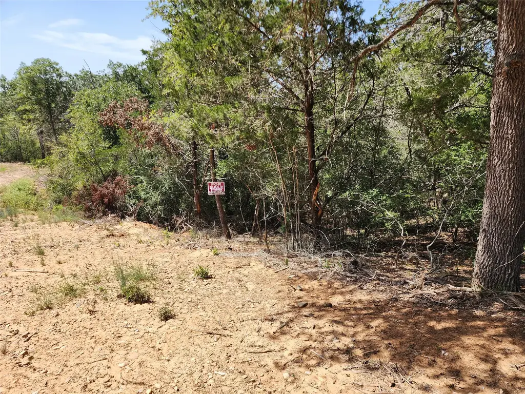 Lot 310 Kalihi Court Court, Bastrop