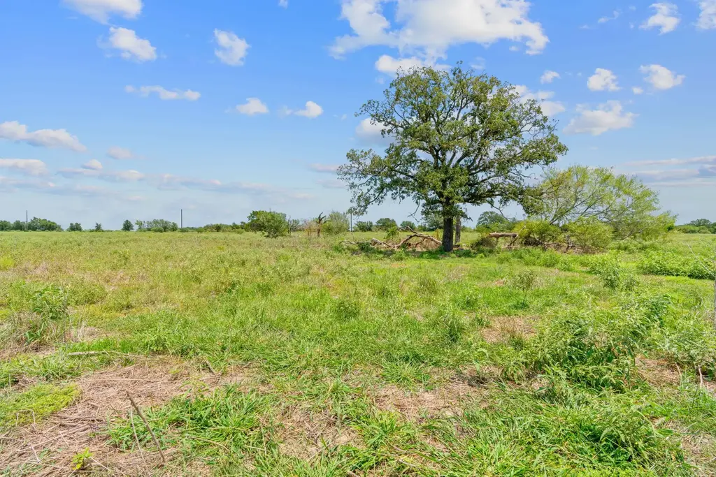 Lot 1 County Road 406, Flatonia