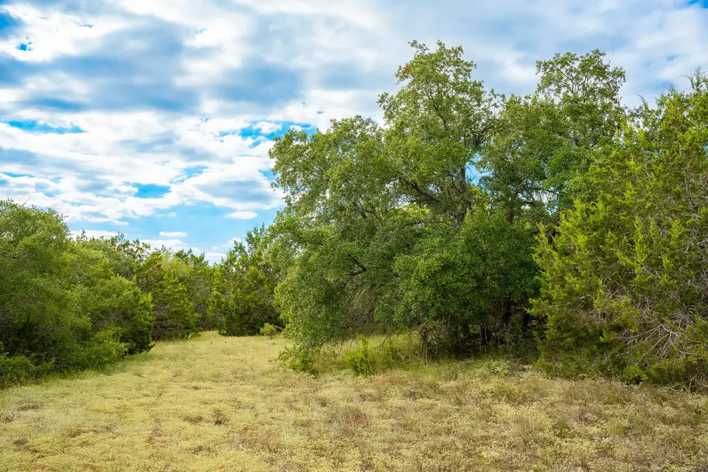 31171 Ranch Road 12, Dripping Springs