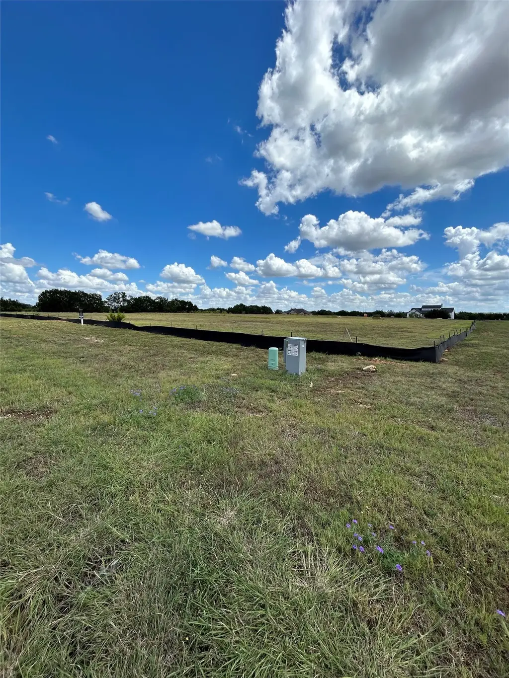541 Arborland Drive, Georgetown
