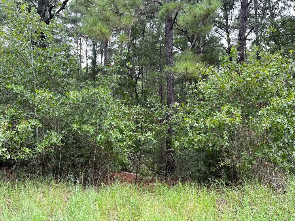 Lot 47 Kamakoa Lane, Bastrop