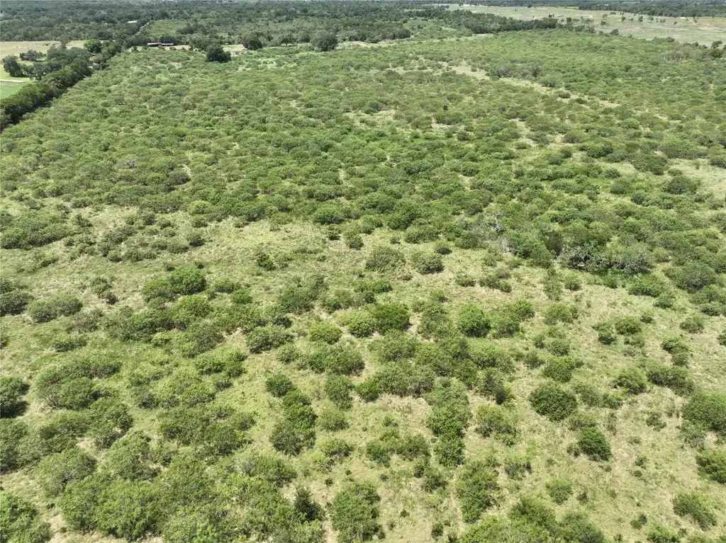 Tbd Lot 10 Young Lane, Lockhart