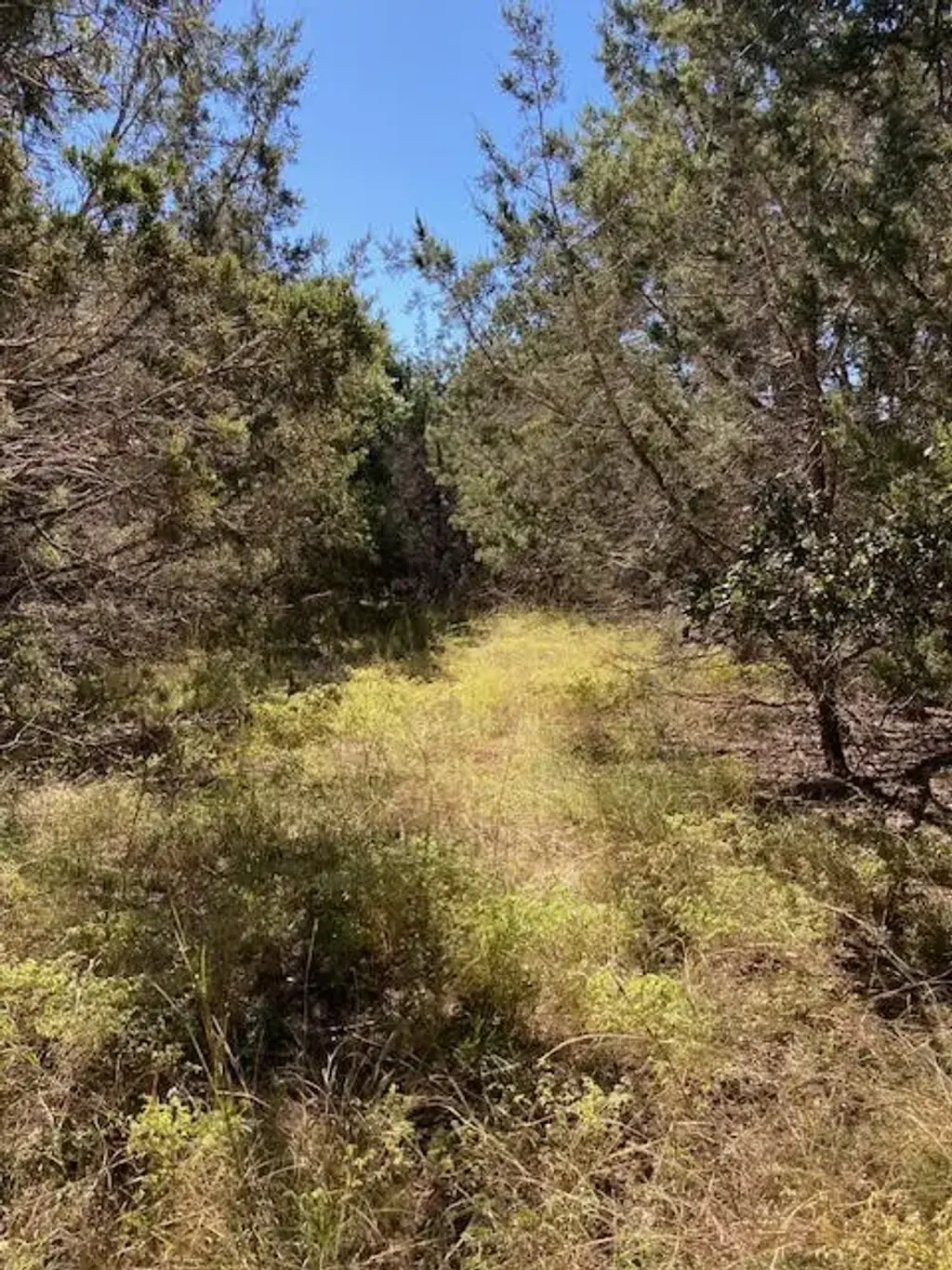 55 York Creek Road, Driftwood