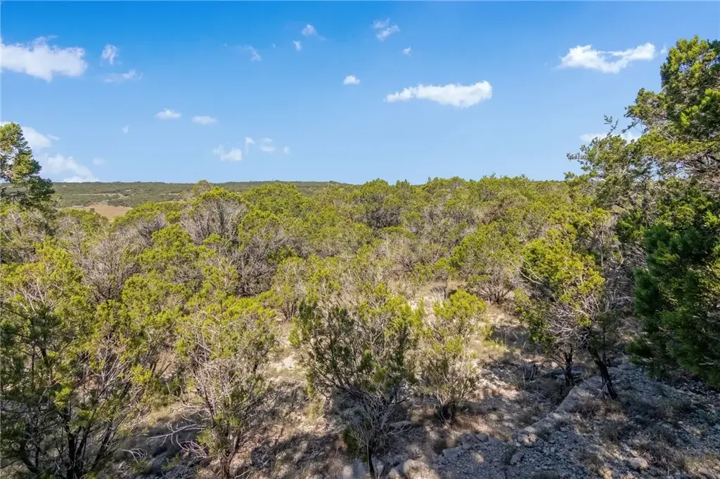 1000 Norwood Road, Dripping Springs