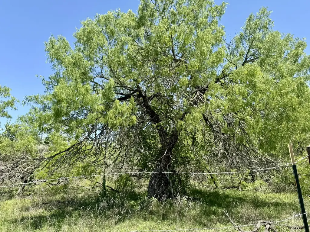 Tbd Acorn Road 3, Lockhart