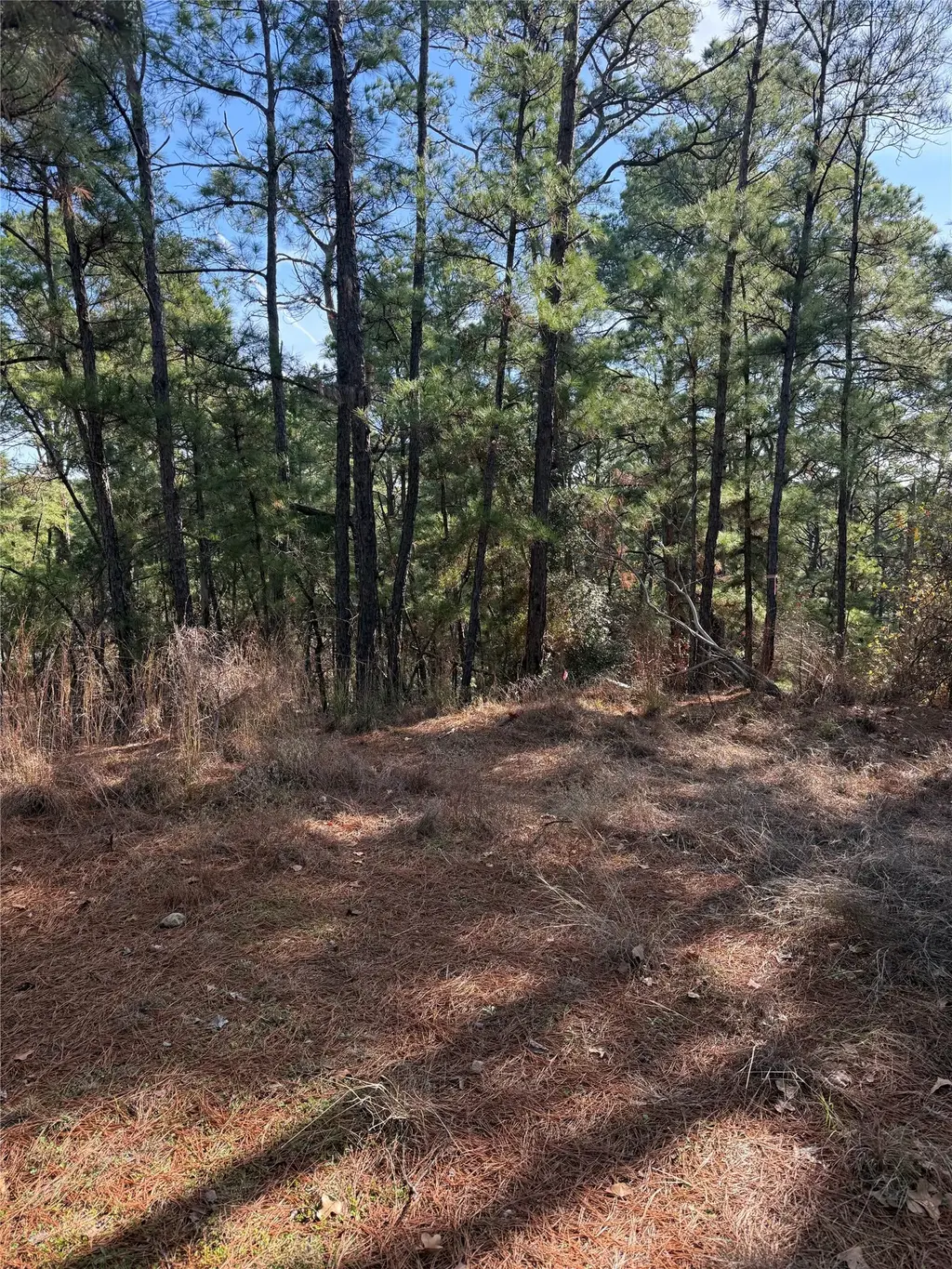 106 Llio Court, Bastrop