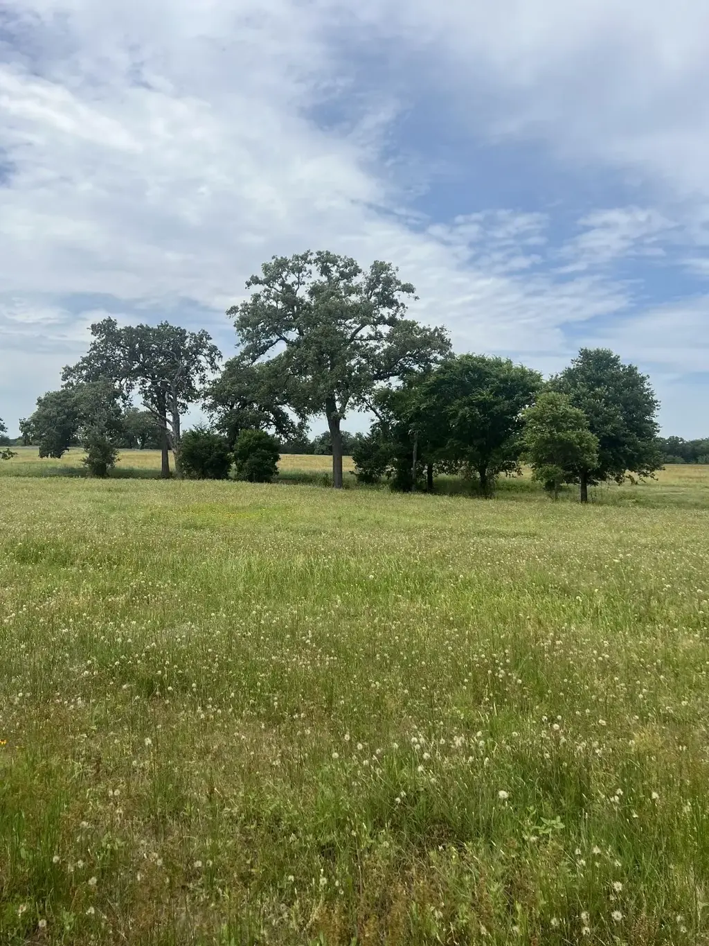 Tbd2 Davis Road, Smithville