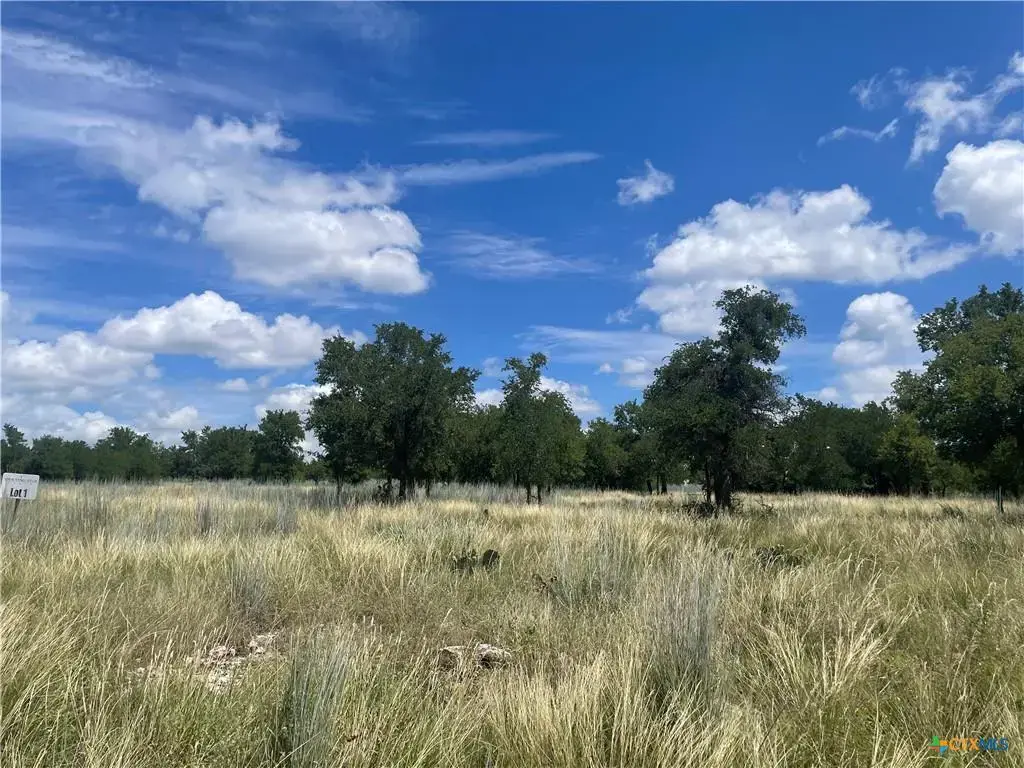 Lot 1 Shooting Star Ranch, Lometa