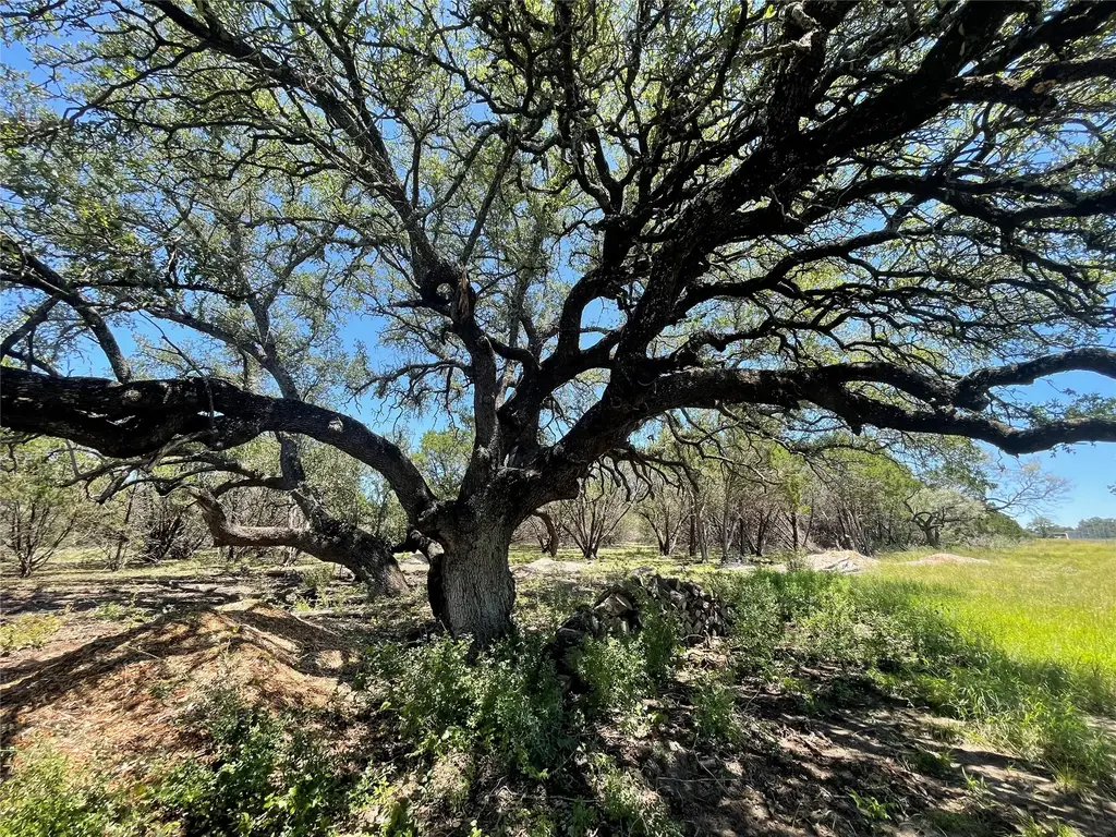 Lot 65 Estate View Circle, Lampasas