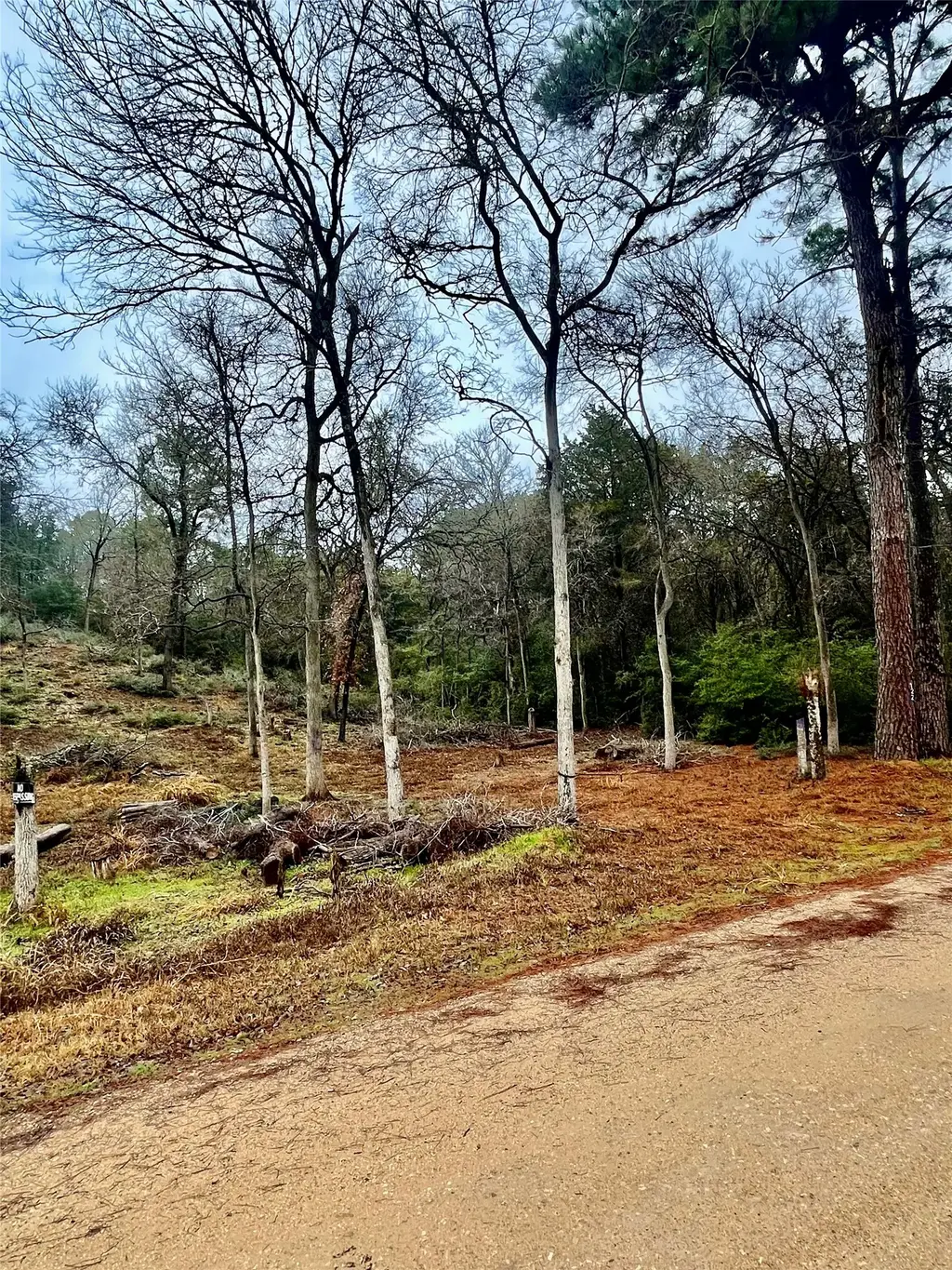 122 Helemano Drive, Bastrop