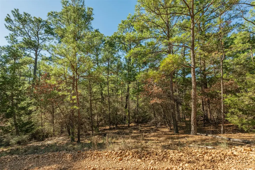 Lot 96 Hidden Hollow Court, Bastrop