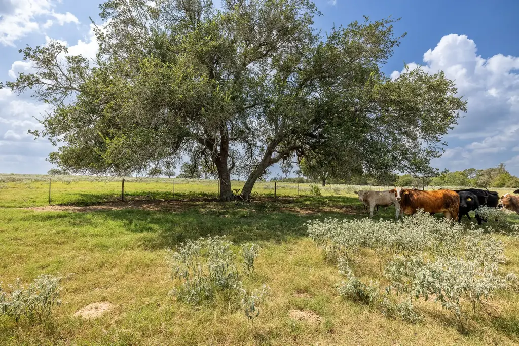 4725 Fm 532 E, Gonzales