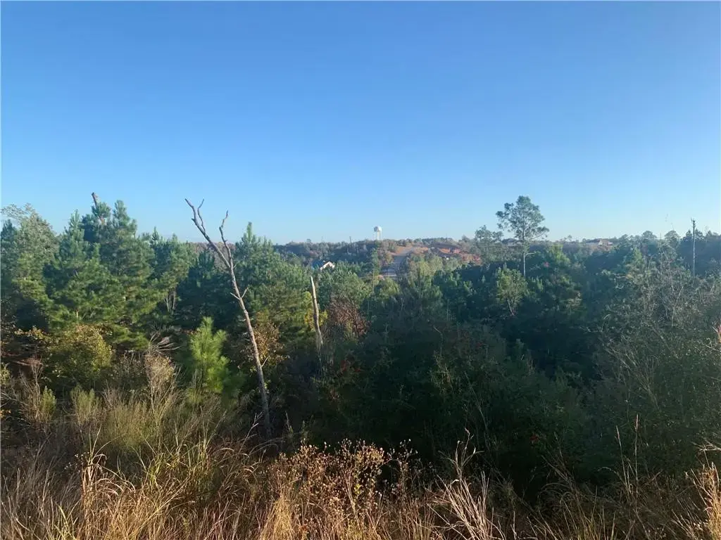 Lot 3 Kainalu Lane, Bastrop