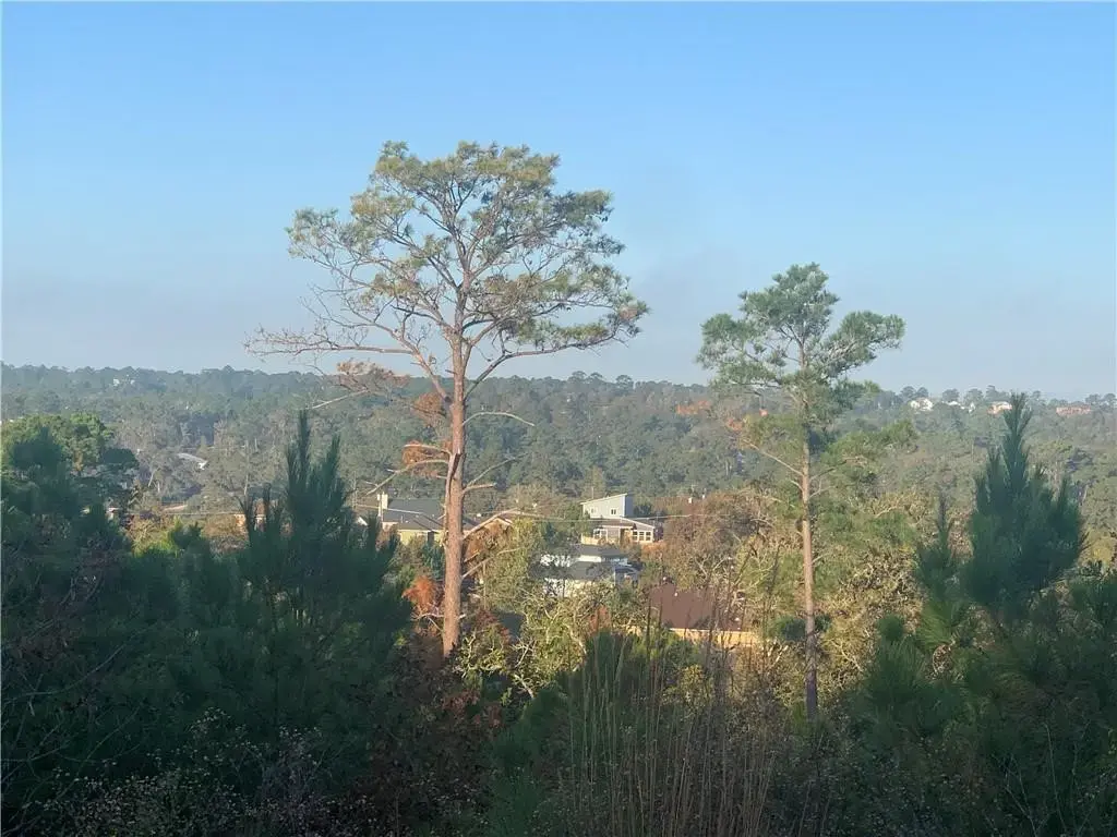 Lot 1 Kainalu Lane, Bastrop