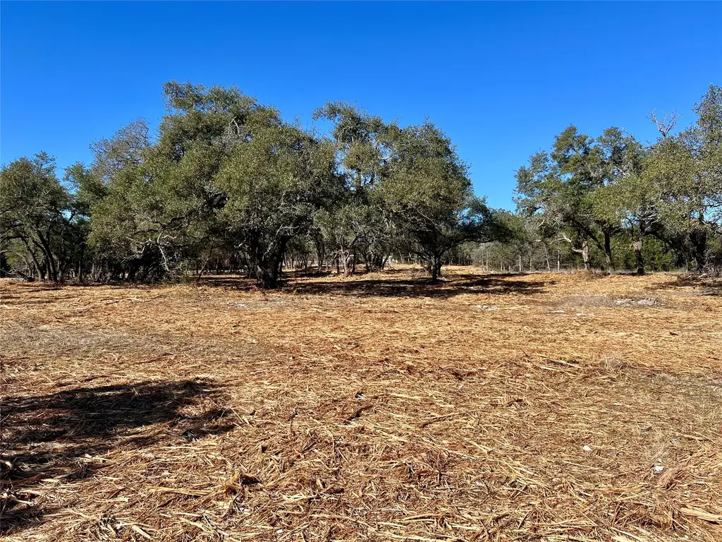 422 Patricia Road, Georgetown