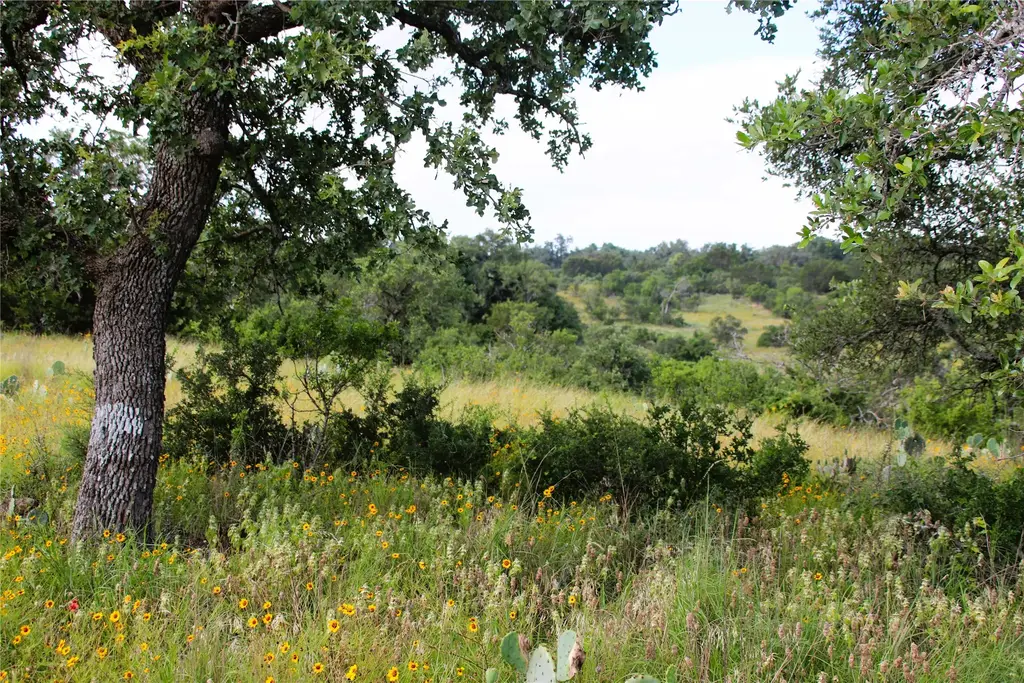 Lot 5 Comanche Ridge, Round Mountain