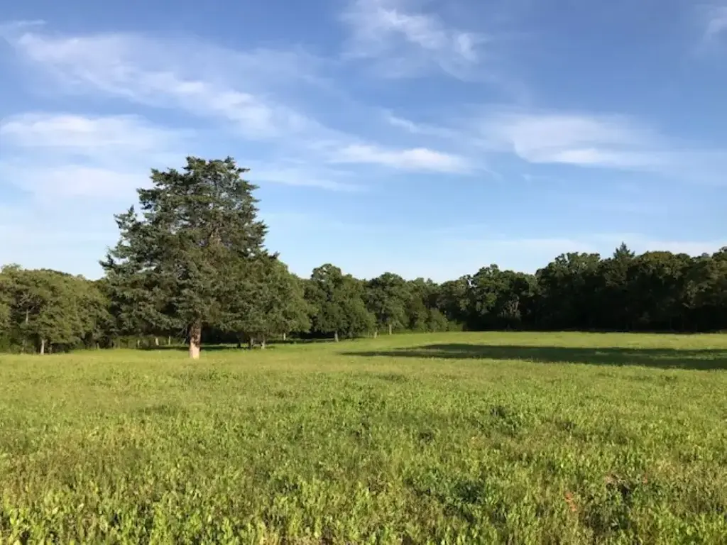 1188 Pr 6030, Cameron