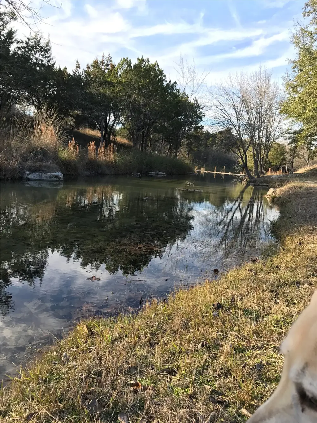 101 Hillview Trail, Dripping Springs