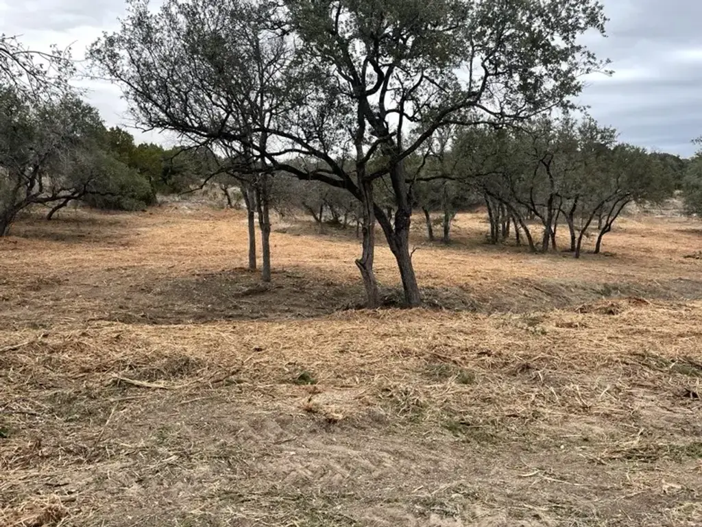 19732 Thurman Bend Road, Spicewood