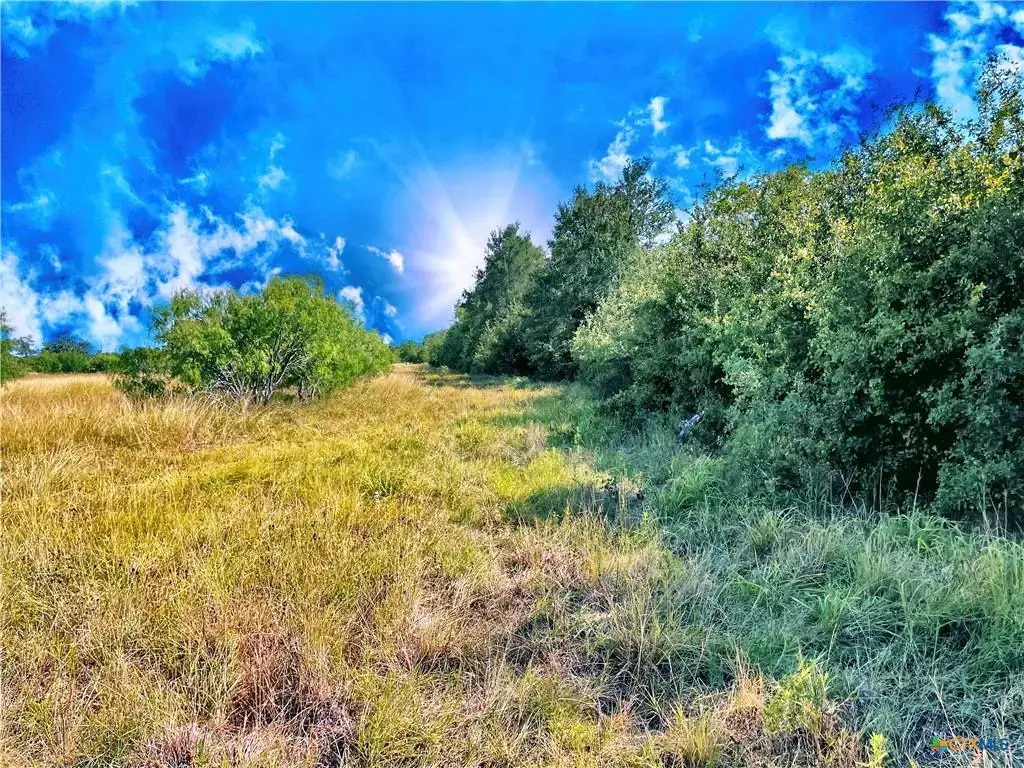 5350 Soda Springs Road, Luling