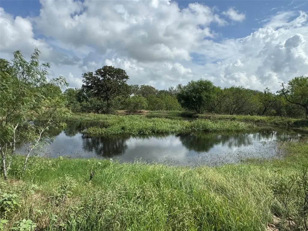 Lot 1-e County Road 491, Gonzales