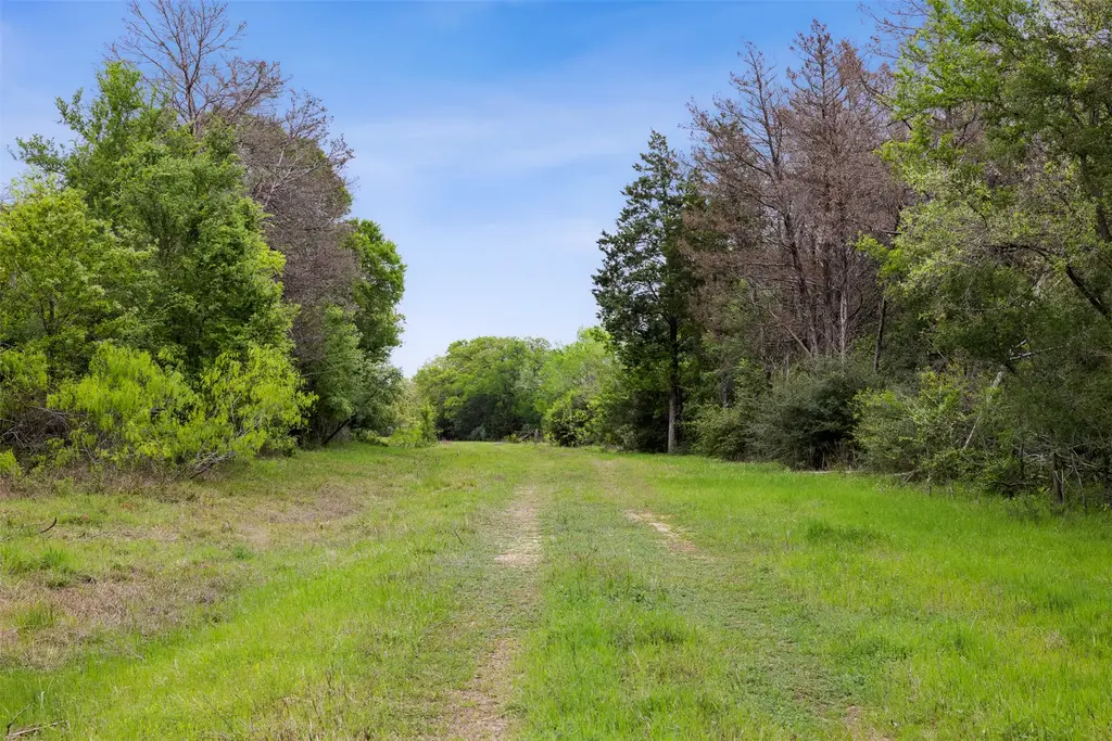4822 Fm 1624 Road, Lexington
