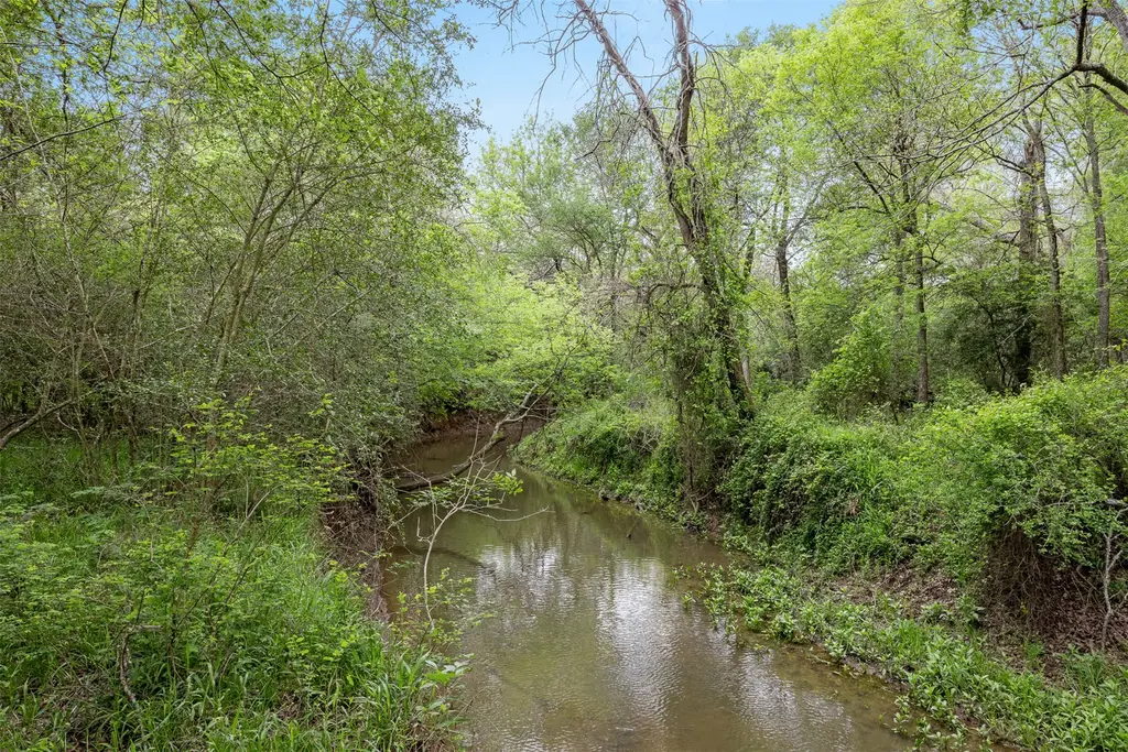 Tbd (+/- 25 Acres) County Road 433, Dime Box