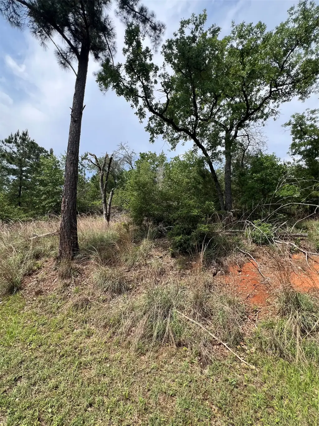 Lot 1671 Tbd Moku Court, Bastrop