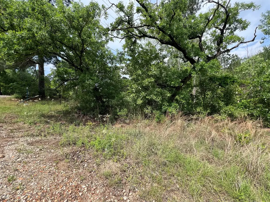 Lot 1672 Tbd Moku Court, Bastrop