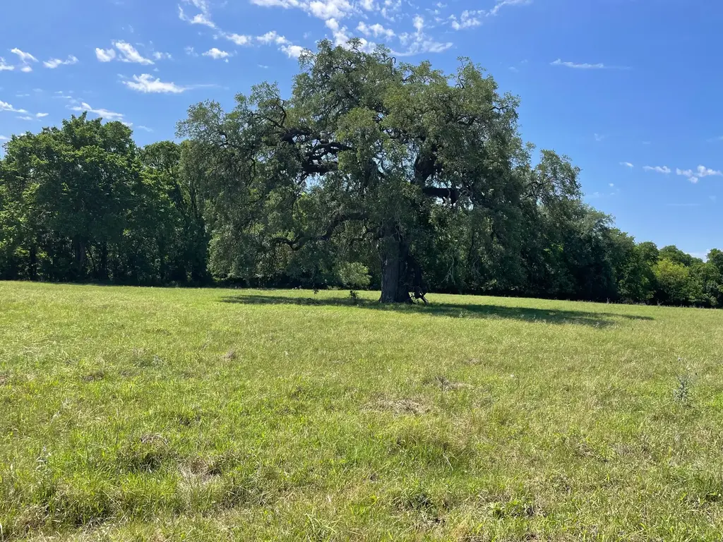 Tbd 144.45 Acres, Smithville